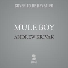 Mule Boy by Andrew Krivak audiobook
