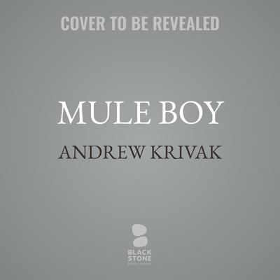 Mule Boy by Andrew Krivak audiobook