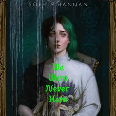 We Were Never Here by Sophia Hannan audiobook