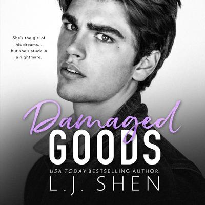 Damaged Goods by L. J. Shen audiobook