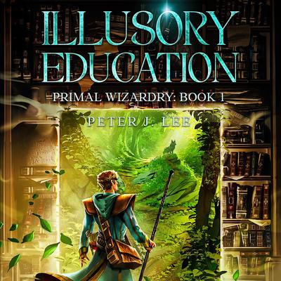Illusory Education by Peter J. Lee audiobook