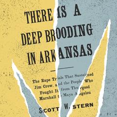 There Is a Deep Brooding in Arkansas by Scott W. Stern audiobook
