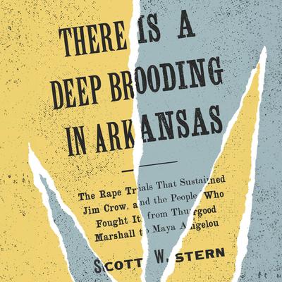 There Is a Deep Brooding in Arkansas by Scott W. Stern audiobook