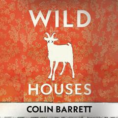 Wild Houses by Colin Barrett audiobook