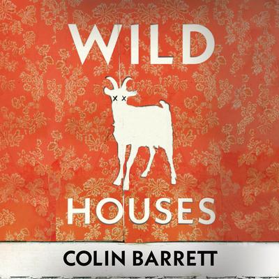 Wild Houses by Colin Barrett audiobook