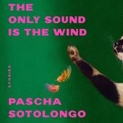 The Only Sound Is the Wind by  Pascha Sotolongo audiobook