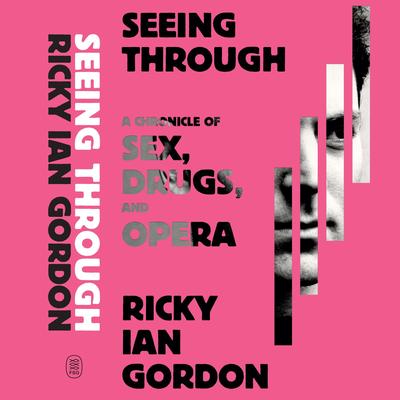 Seeing Through by Ricky Ian Gordon audiobook